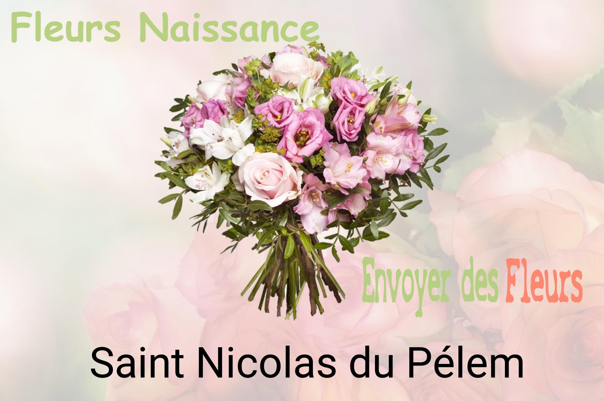 Bouquet de fleurs de naissance livré à Saint-Nicolas-du-Pélem