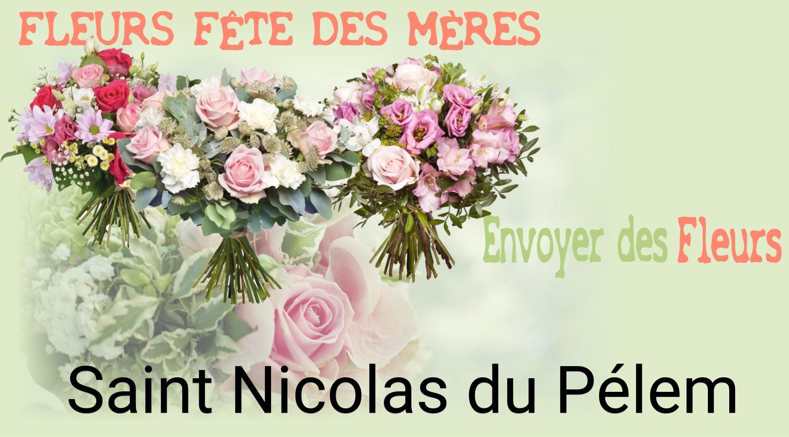 Bouquet de Fête des Mères livré à Saint-Nicolas-du-Pélem